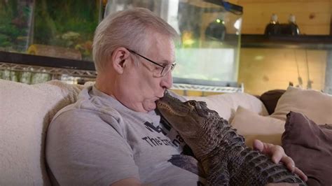 wally the emotional support alligator dead